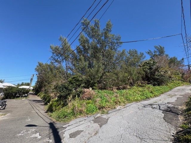 video image