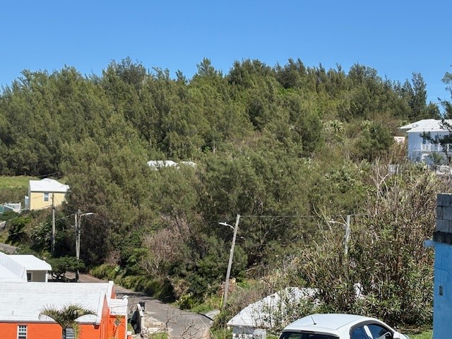video image