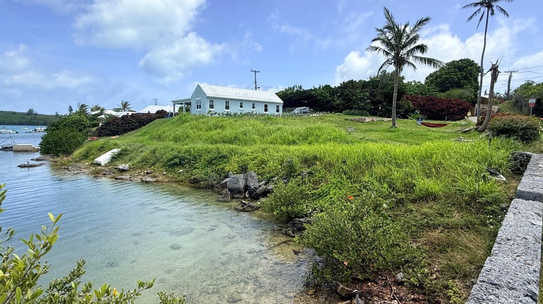 video image