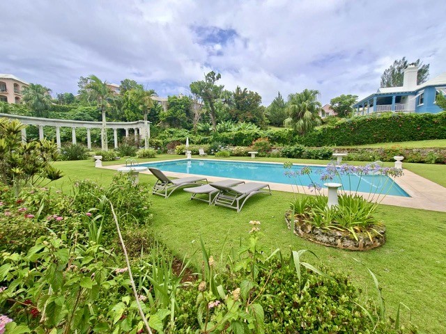 video image